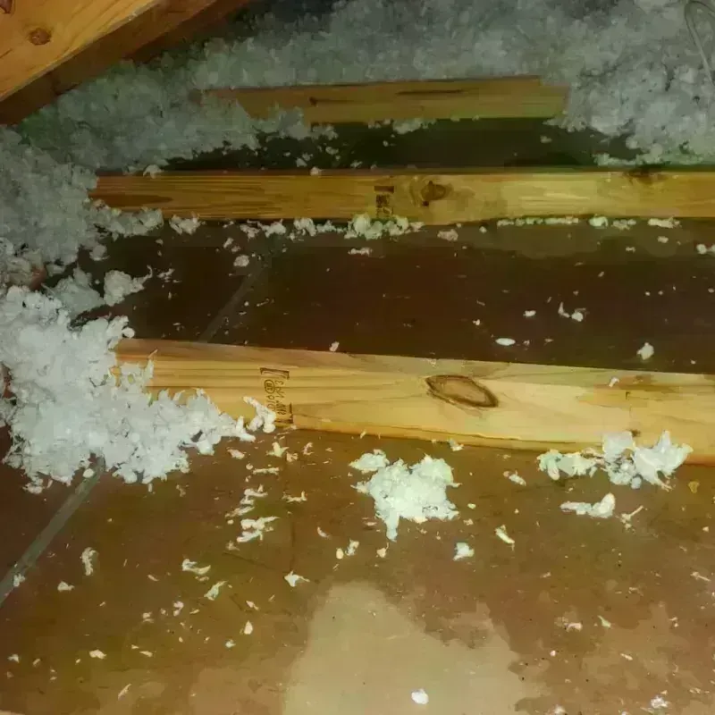 Attic Water Damage in Tichigan, WI