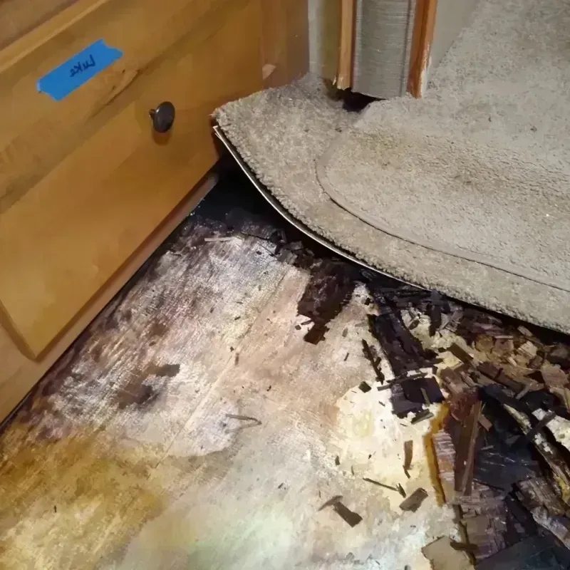 Wood Floor Water Damage in Tichigan, WI